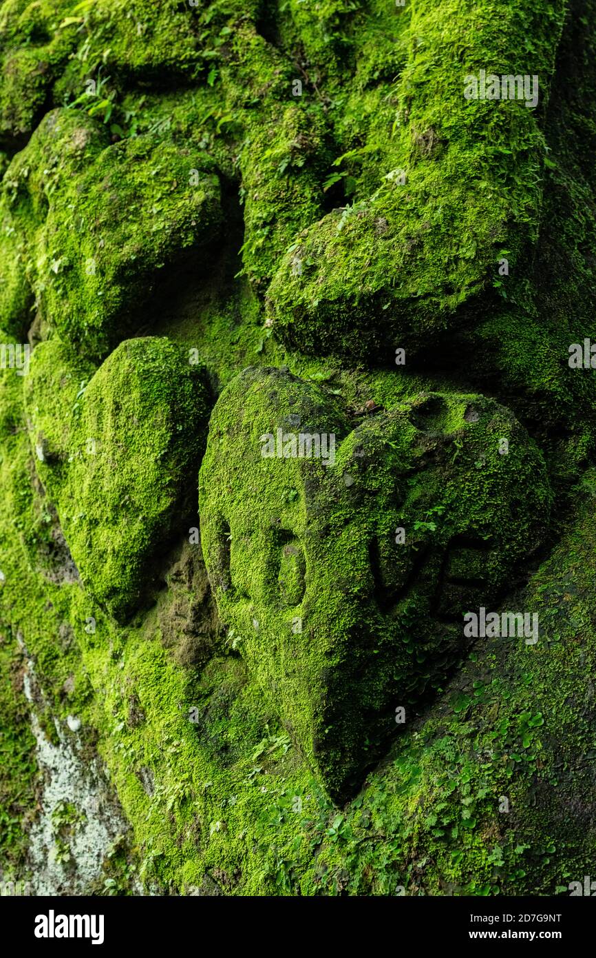 Il muschio crescerà in un luogo umido e il suo fresco colore verde cresce tra le pietre scolpite. Rende la scultura in pietra di colore naturale. Foto Stock