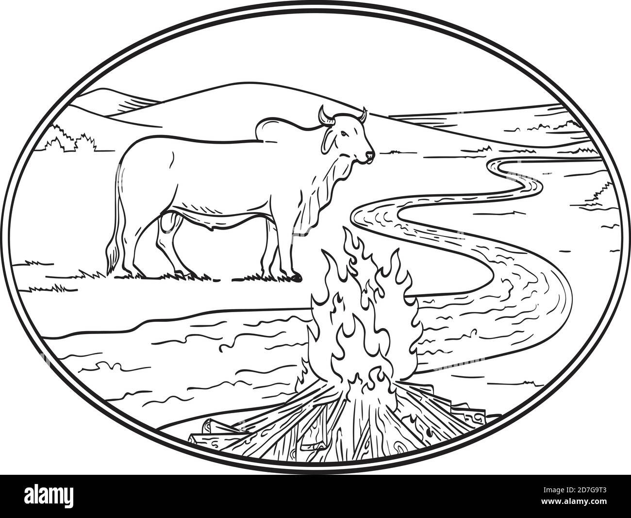 Disegno di linea di illustrazione di un bull di Brahman, una razza americana di bestiame bovino di zebuino con fiume o torrente tortuoso, catena montuosa e campo di fuoco Illustrazione Vettoriale