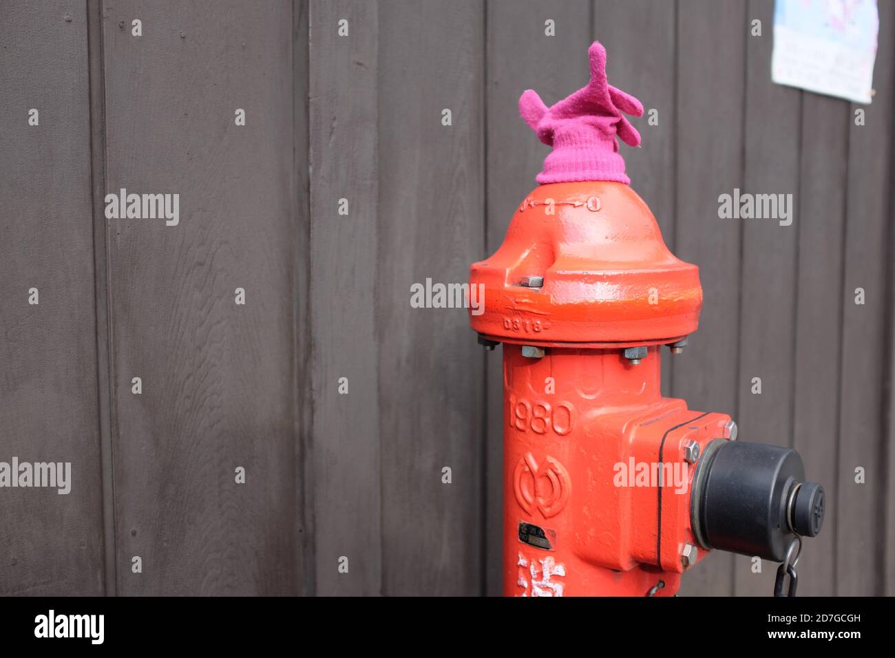 Rosso idrante con guanto viola Foto Stock