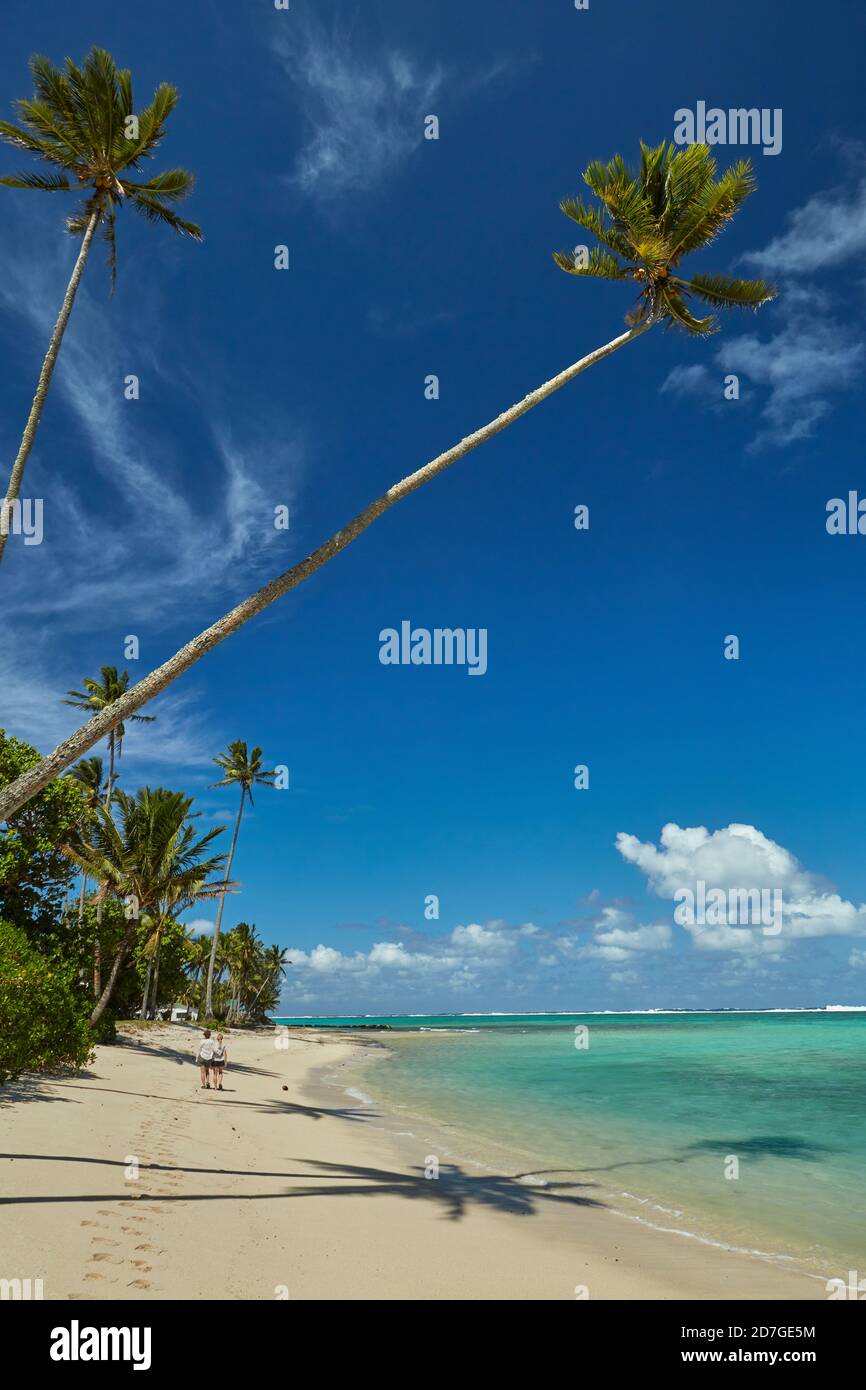 Palme da cocco e Oceano Pacifico, Rarotonga, Isole Cook, Sud Pacifico Foto Stock