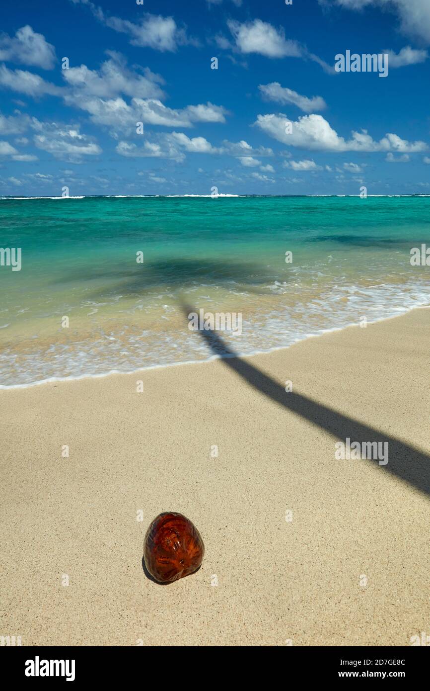 Cocco e palme ombra sulla spiaggia e Oceano Pacifico, Rarotonga, Isole Cook, Sud Pacifico Foto Stock