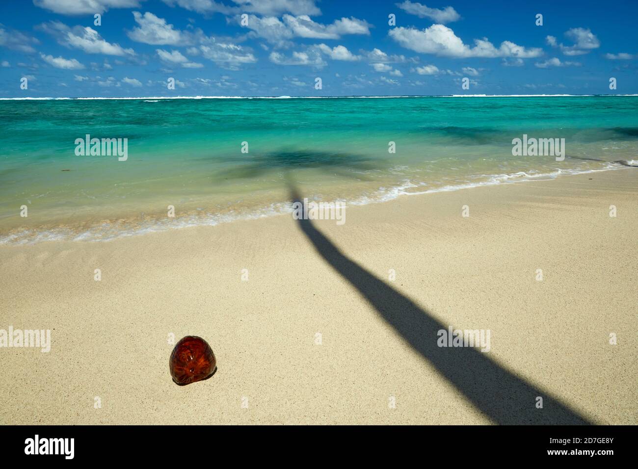 Cocco e palme ombra sulla spiaggia e Oceano Pacifico, Rarotonga, Isole Cook, Sud Pacifico Foto Stock