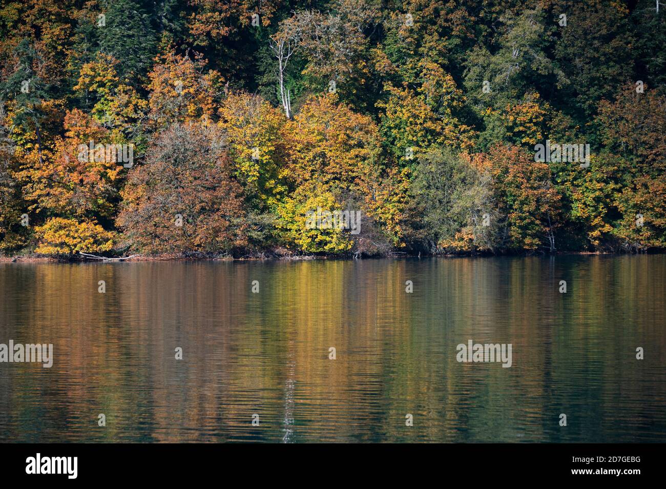 i colori della caduta si riflettono nell'acqua dagli alberi vicini Foto Stock