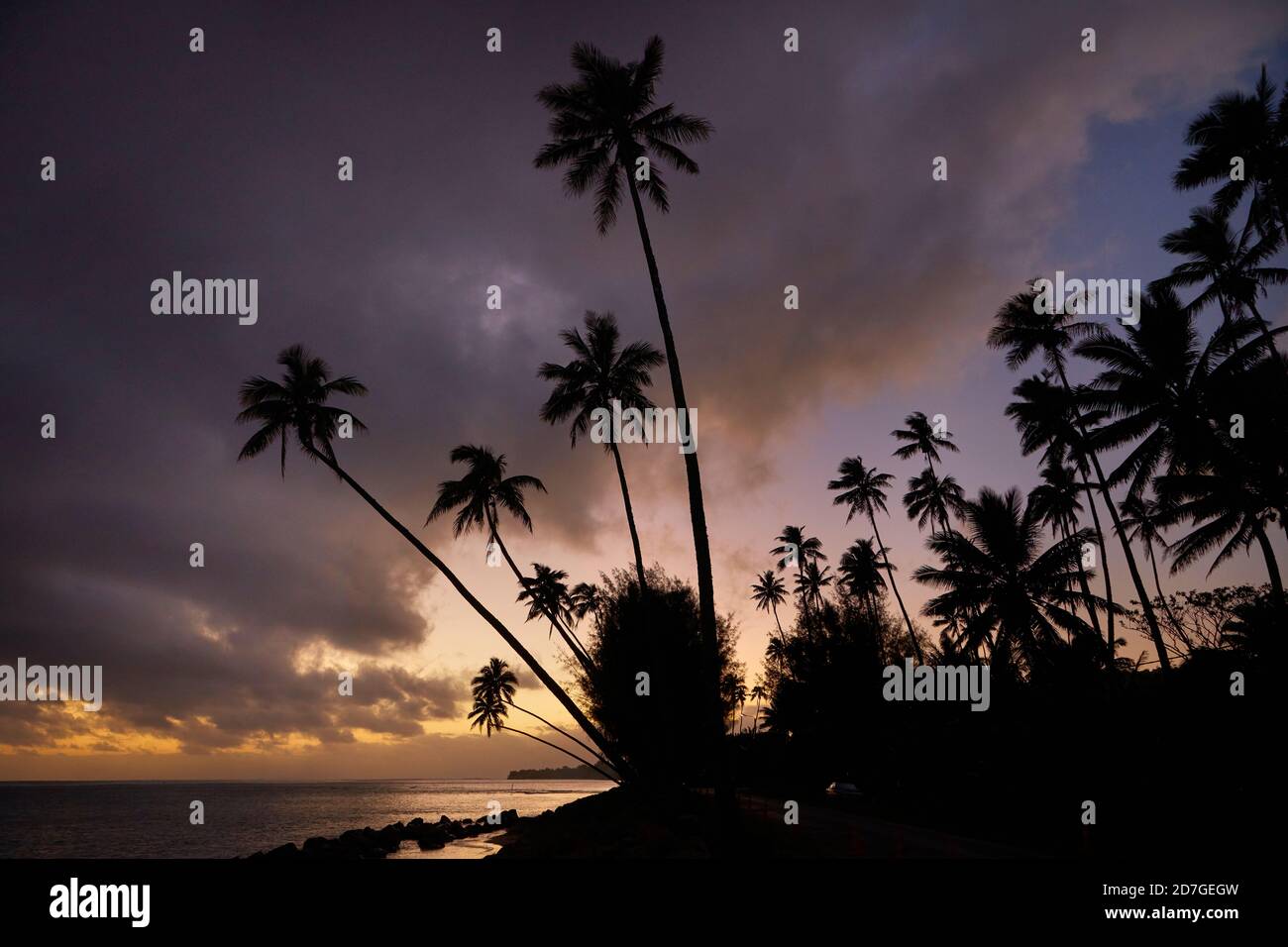Tramonto sulle palme da cocco e sull'oceano Pacifico, Rarotonga, Isole Cook, Sud Pacifico Foto Stock