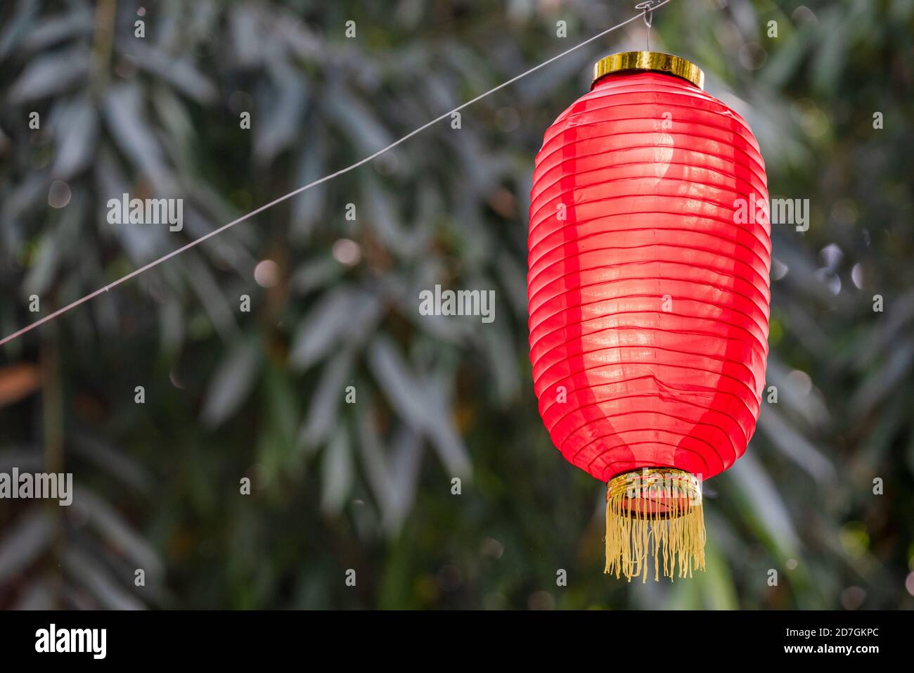 Lanterna rossa cinese appesa contro alberi di bambù a Chengdu, provincia del Sichuan, Cina Foto Stock