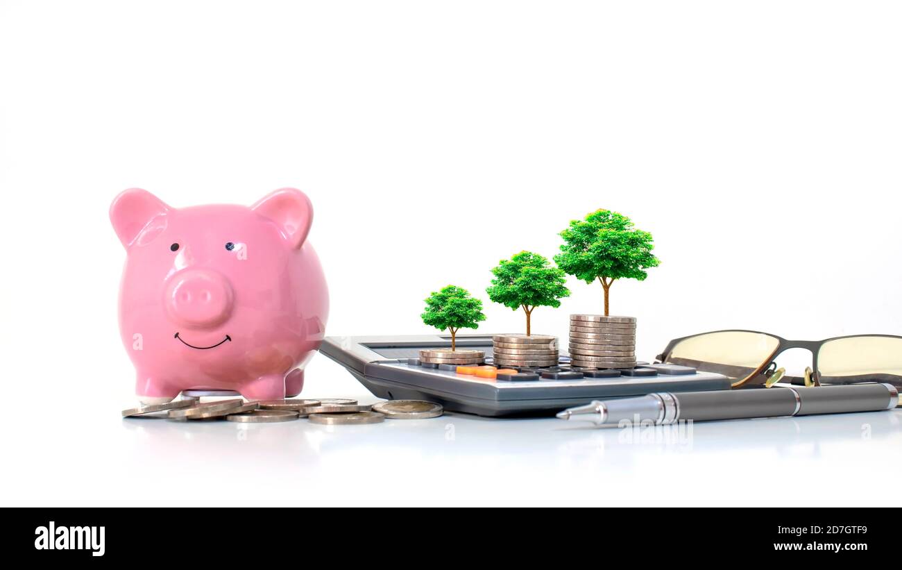 Alberi in crescita su mucchi di pile di denaro e calcolatrici, idee di investimento finanziario, e fonti di fondi. Foto Stock