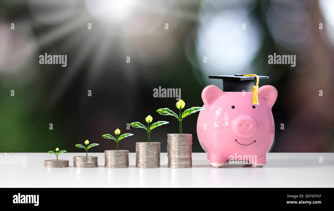 Pianta crescente su pila di monete e cappello laureato messo su banca piggy su natura verde offuscata formazione di fondo e concetto finanziario. Foto Stock