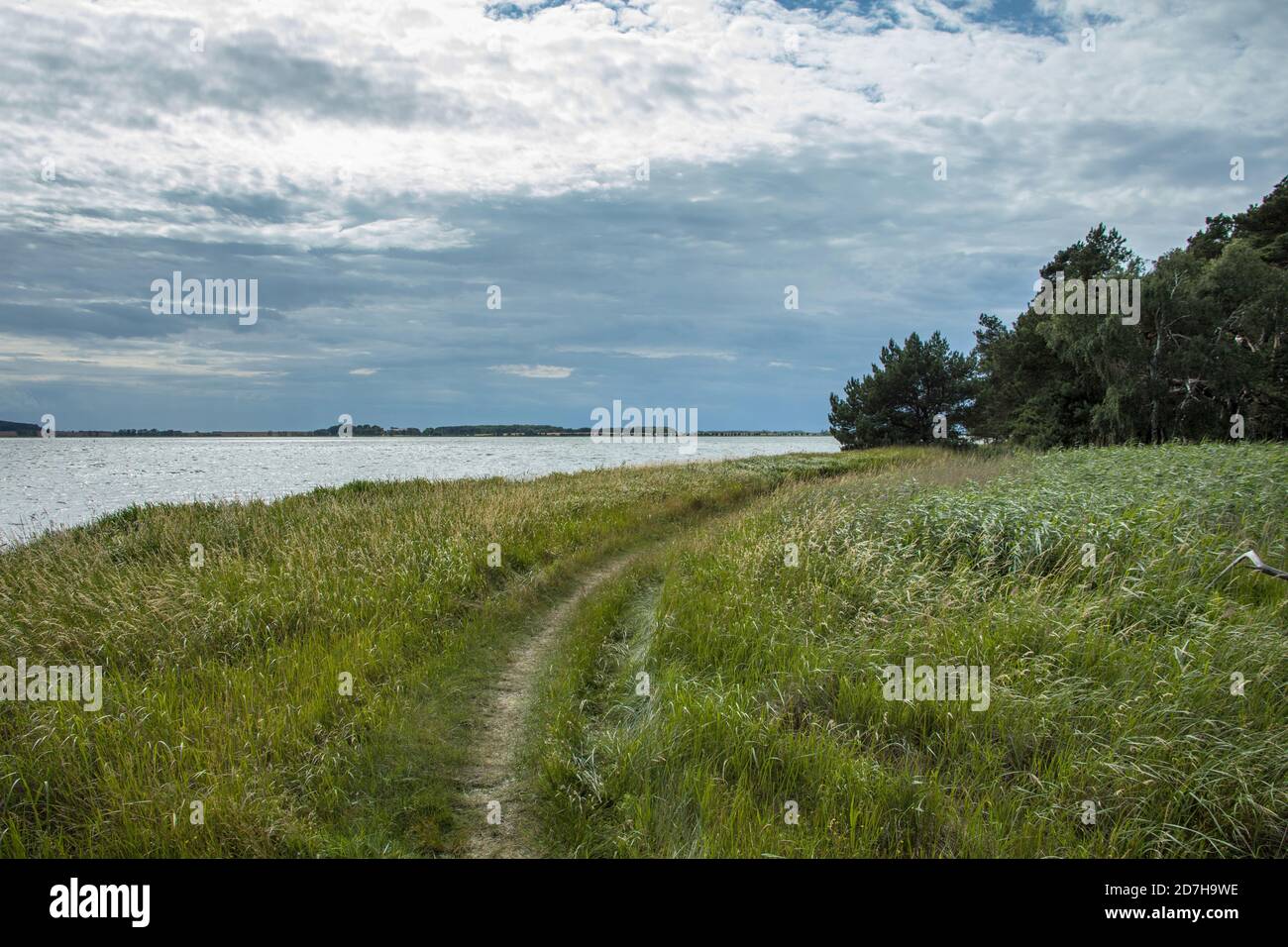 Riserva naturale Roter See vicino Glowe, Germania, Meclemburgo-Pomerania occidentale, Ruegen, NSG Roter See Foto Stock