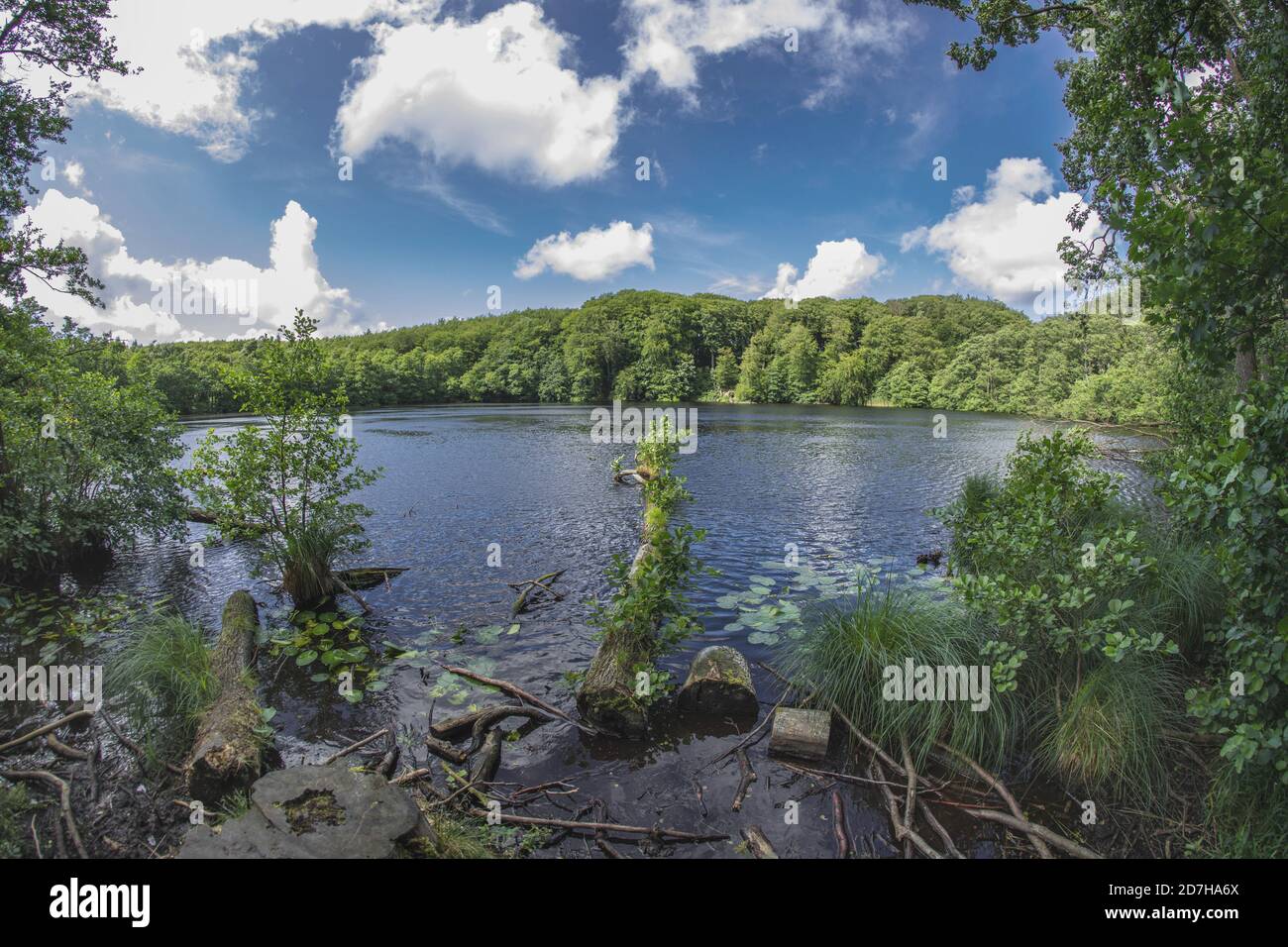 lago di Herthasee, Germania, Meclemburgo-Pomerania occidentale, Ruegen, Parco Nazionale di Jasmund Foto Stock