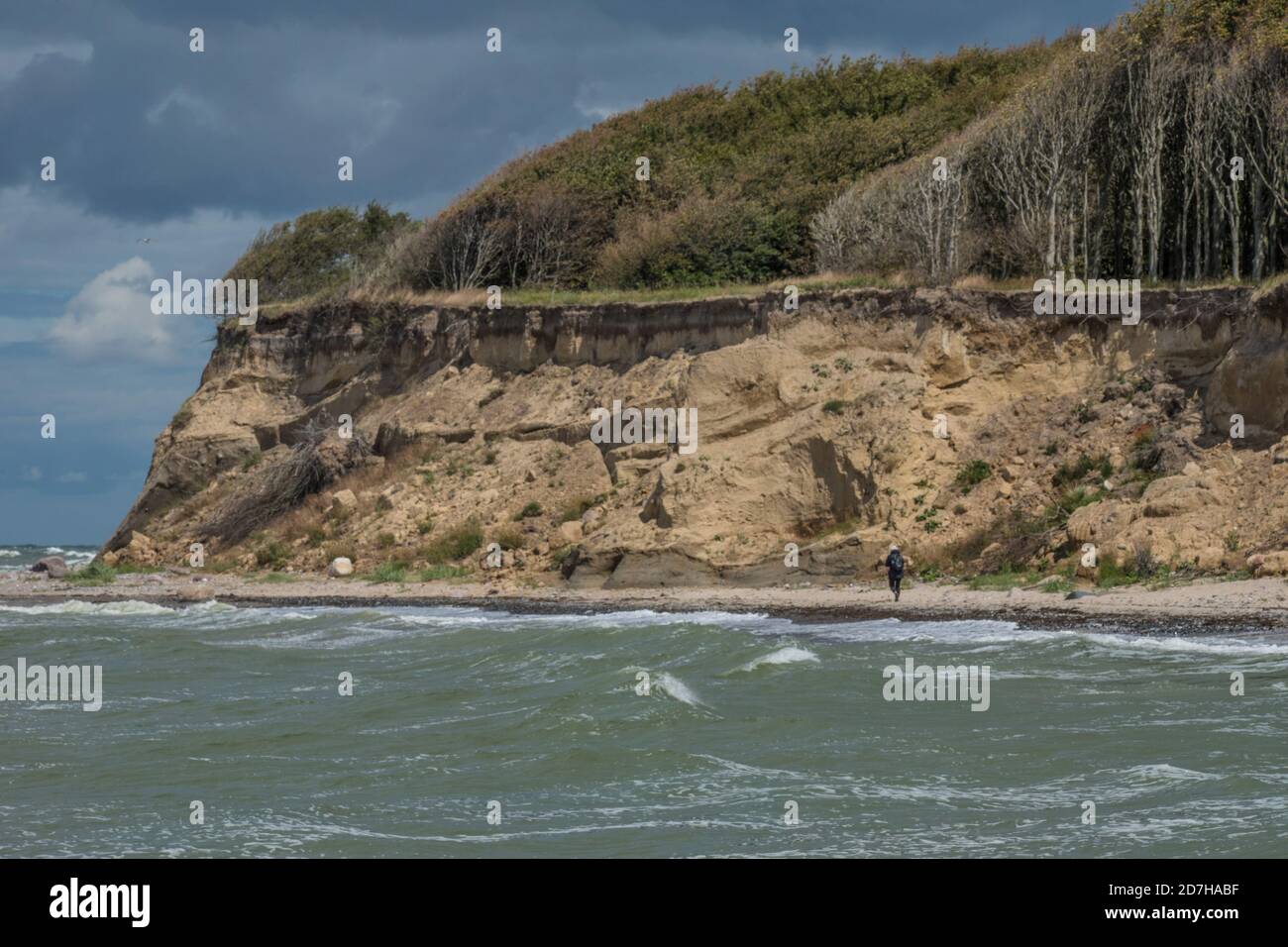 Costa ripida del Mar Baltico, riserva naturale Nordwestufer Wittow, Germania, Meclemburgo-Pomerania occidentale, Ruegen, NSG Nordwestufer Wittow Foto Stock