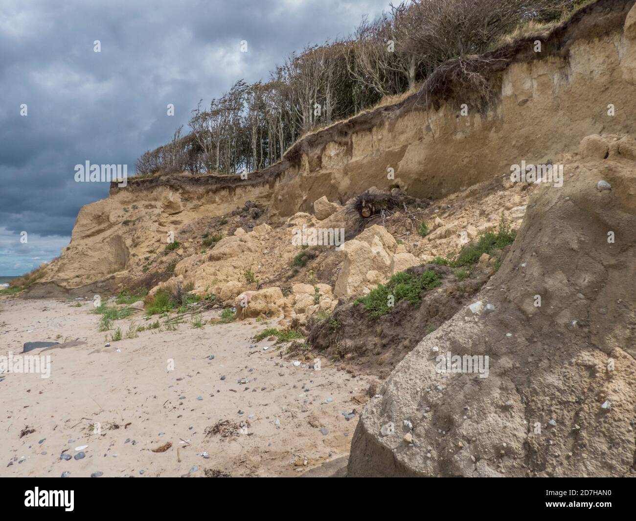 Costa ripida del Mar Baltico, riserva naturale Nordwestufer Wittow, Germania, Meclemburgo-Pomerania occidentale, Ruegen, NSG Nordwestufer Wittow Foto Stock