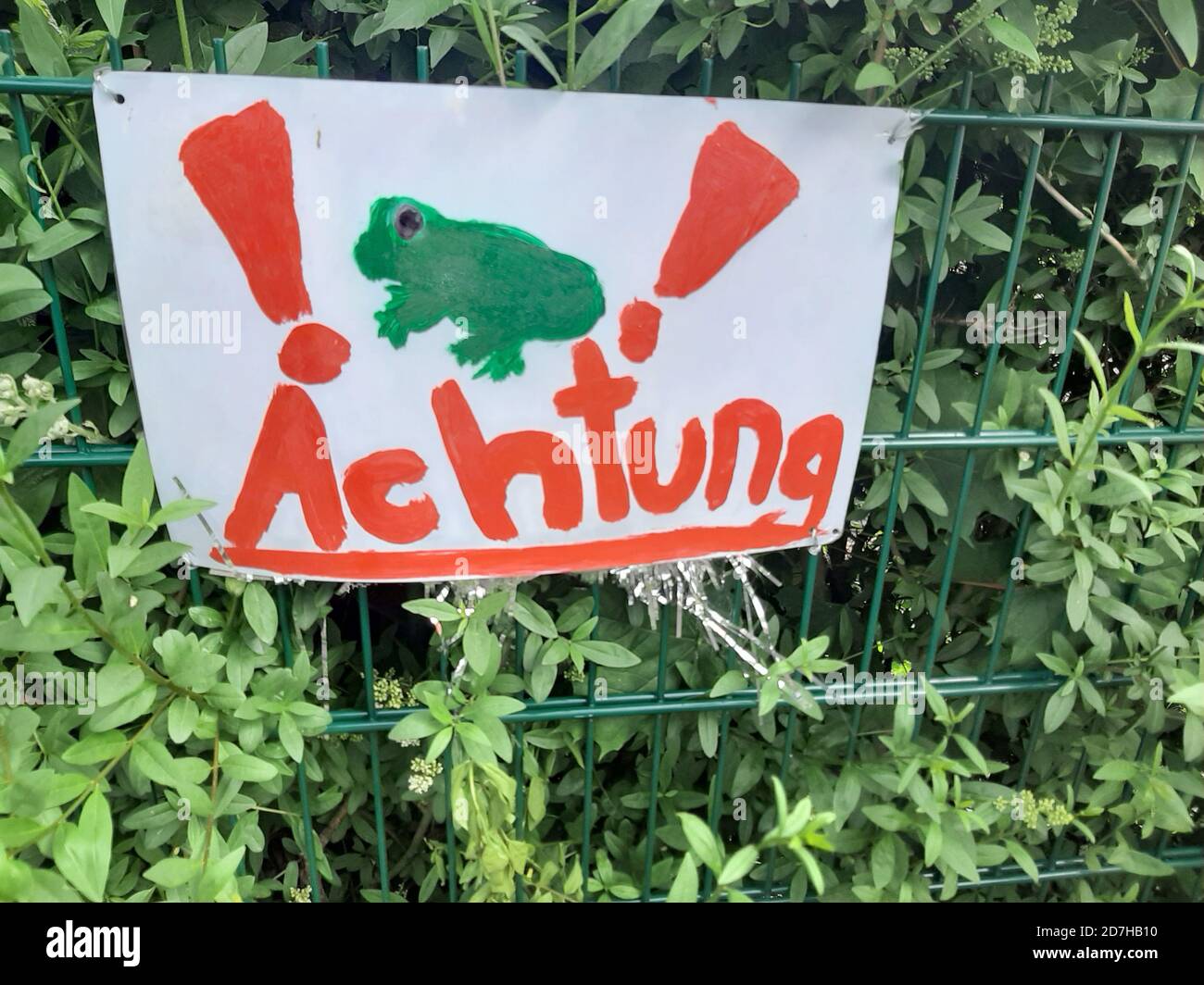 Cartello di avvertimento contro la migrazione dei toad, dipinto da bambini, Germania Foto Stock