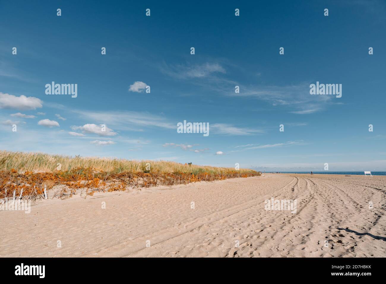 dune di erba sulla spiaggia Foto Stock