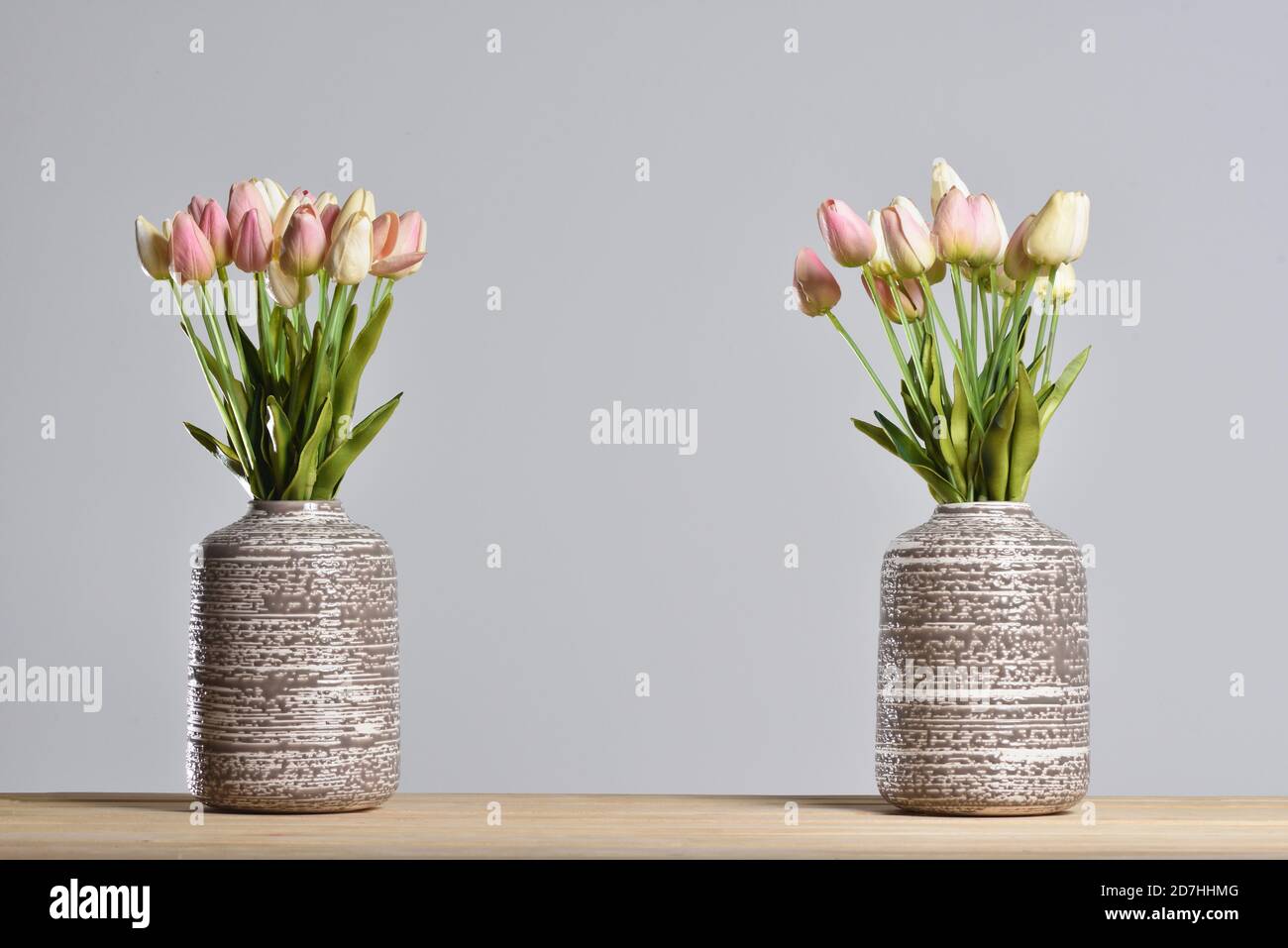 Due vasi moderni con tulipani su sfondo grigio Foto Stock