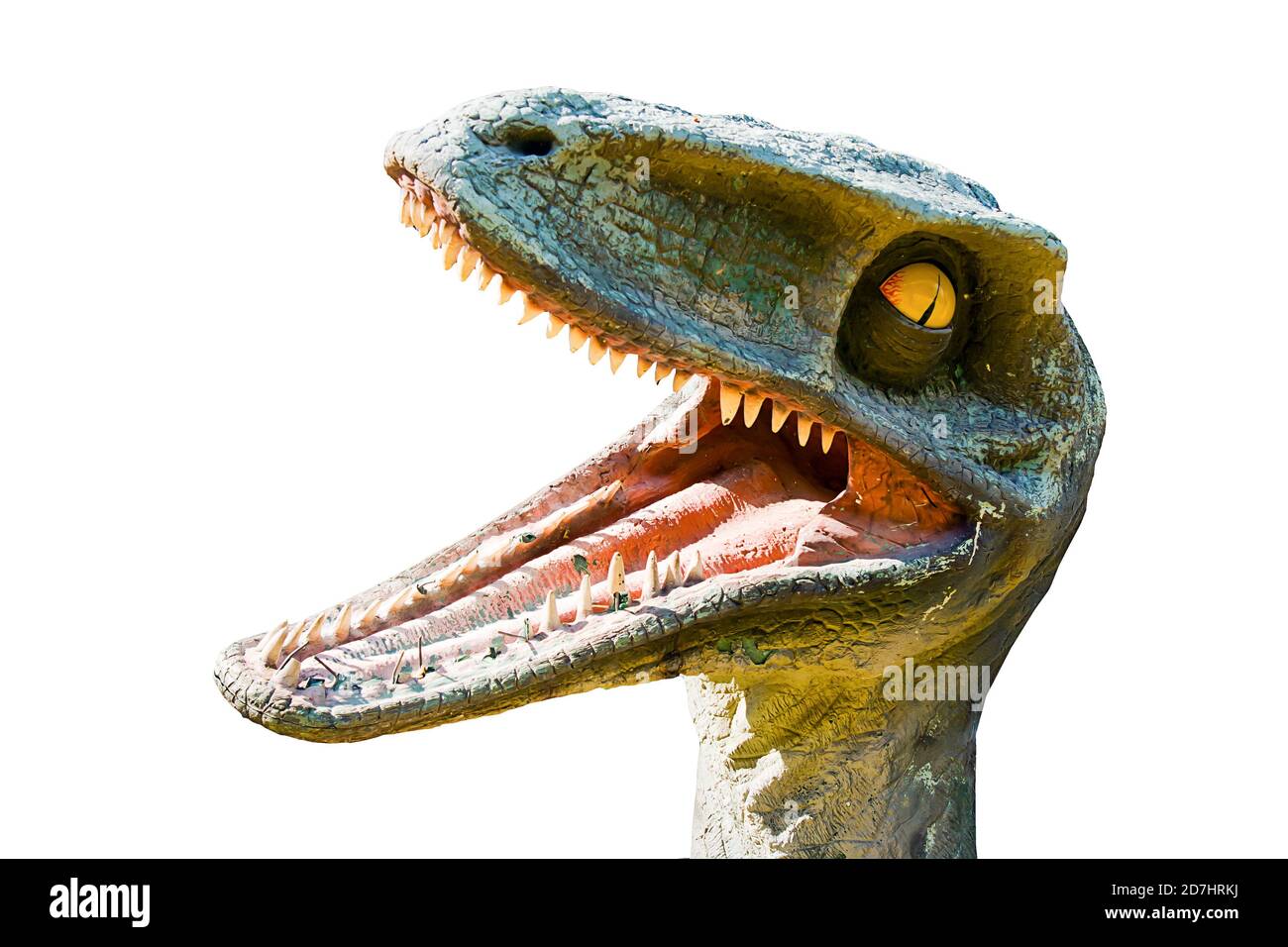 Testa di dinosauro isolati su sfondo bianco Foto Stock