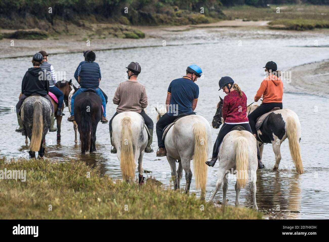 Un gruppo di cavalieri che cavalcano sulle rive del fiume Gannel a bassa marea a Newquay in Cornovaglia. Foto Stock