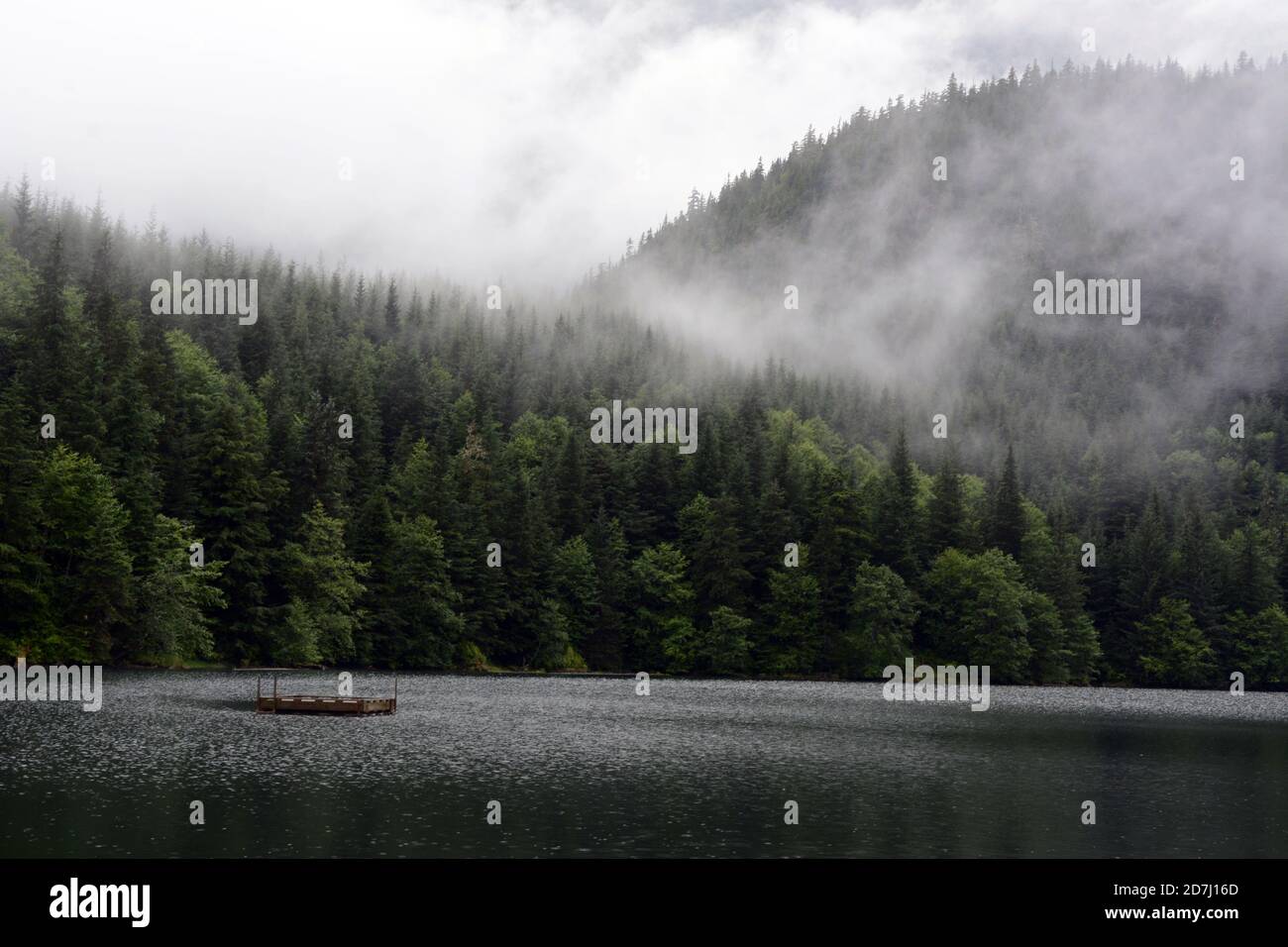 Nebbia e nebbia che pendono su un lago nella temperata foresta pluviale e Coast Mountains vicino a Stewart e Hyder, nella Columbia Britannica Settentrionale, Canada. Foto Stock