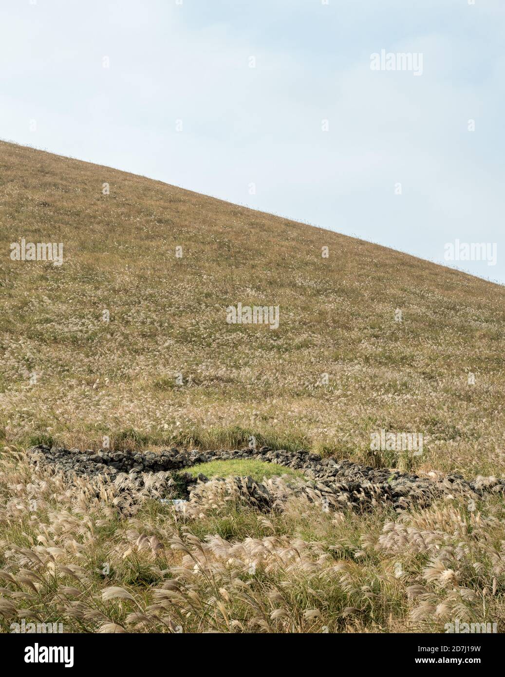 Jeju, Corea del Sud - una tomba circondata da pietre a Saebyeol Oreum, cono vulcanico parassita famoso per il bellissimo paesaggio con l'erba d'argento in autunno. Foto Stock