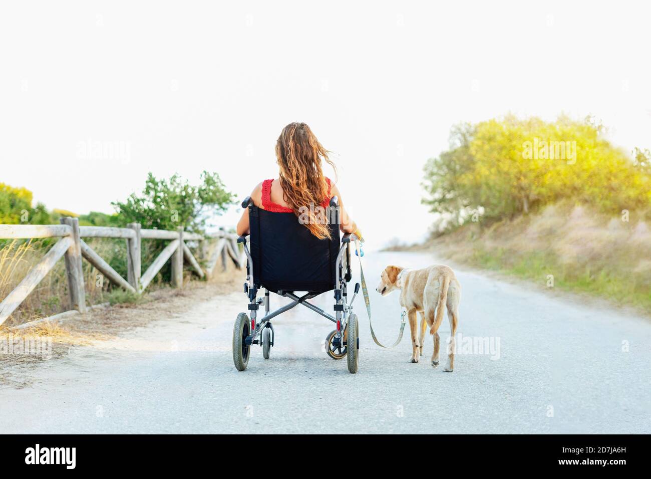 Donna in sedia a rotelle con cane su strada contro cielo limpido Foto Stock