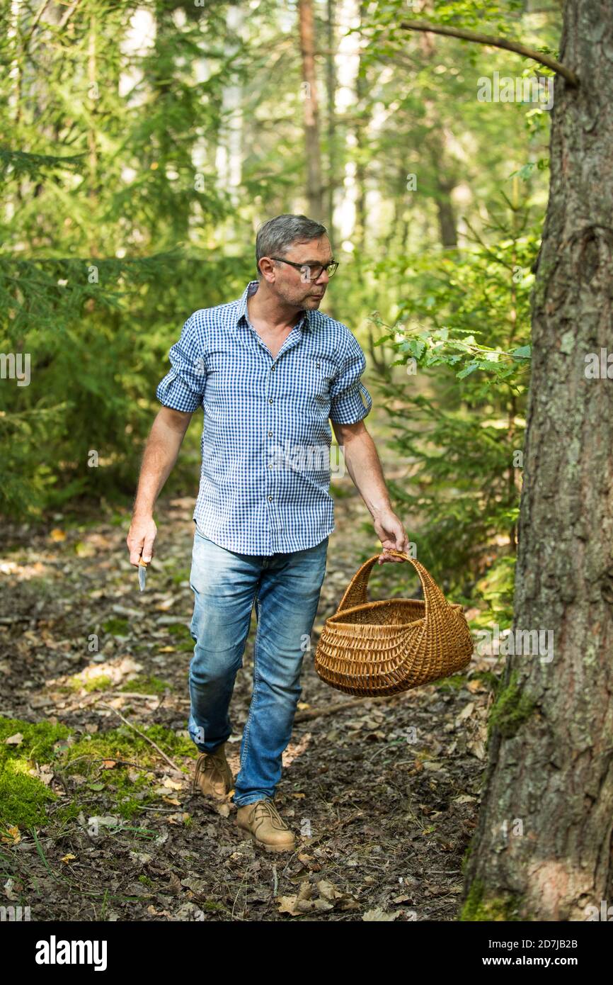 Uomo maturo che cammina con cesto alla ricerca di funghi nella foresta Foto Stock