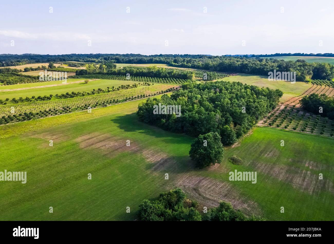 Drone vista del verde campagna paesaggio in estate Foto Stock