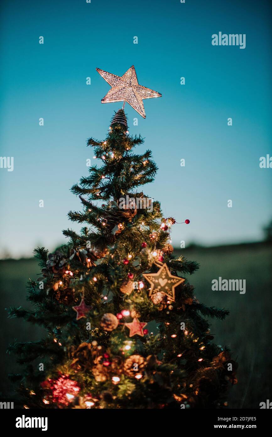 Primo piano di albero di Natale con topper a forma di stella contro trasparente cielo al crepuscolo Foto Stock