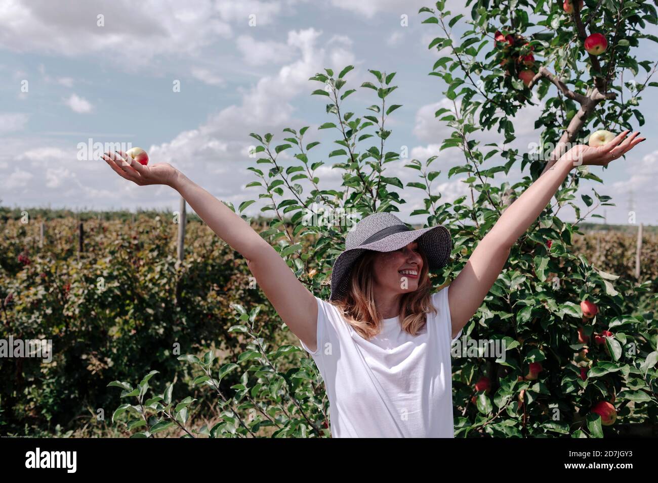 Donna spensierata che indossa cappello con le braccia sollevate tenendo mele mentre in piedi in frutteto Foto Stock