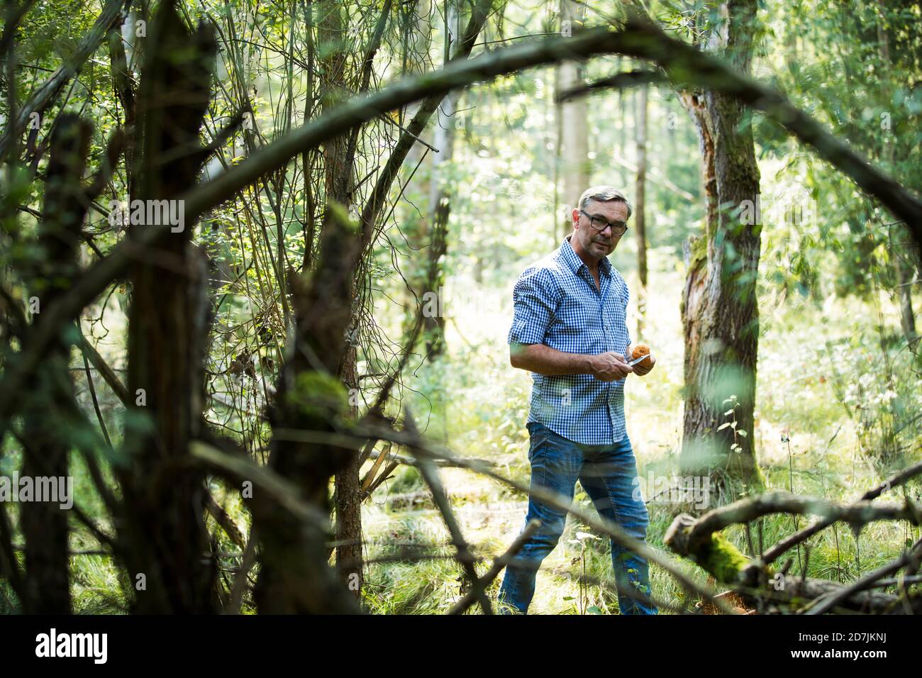 Uomo maturo in piedi con funghi in foresta nella giornata di sole Foto Stock