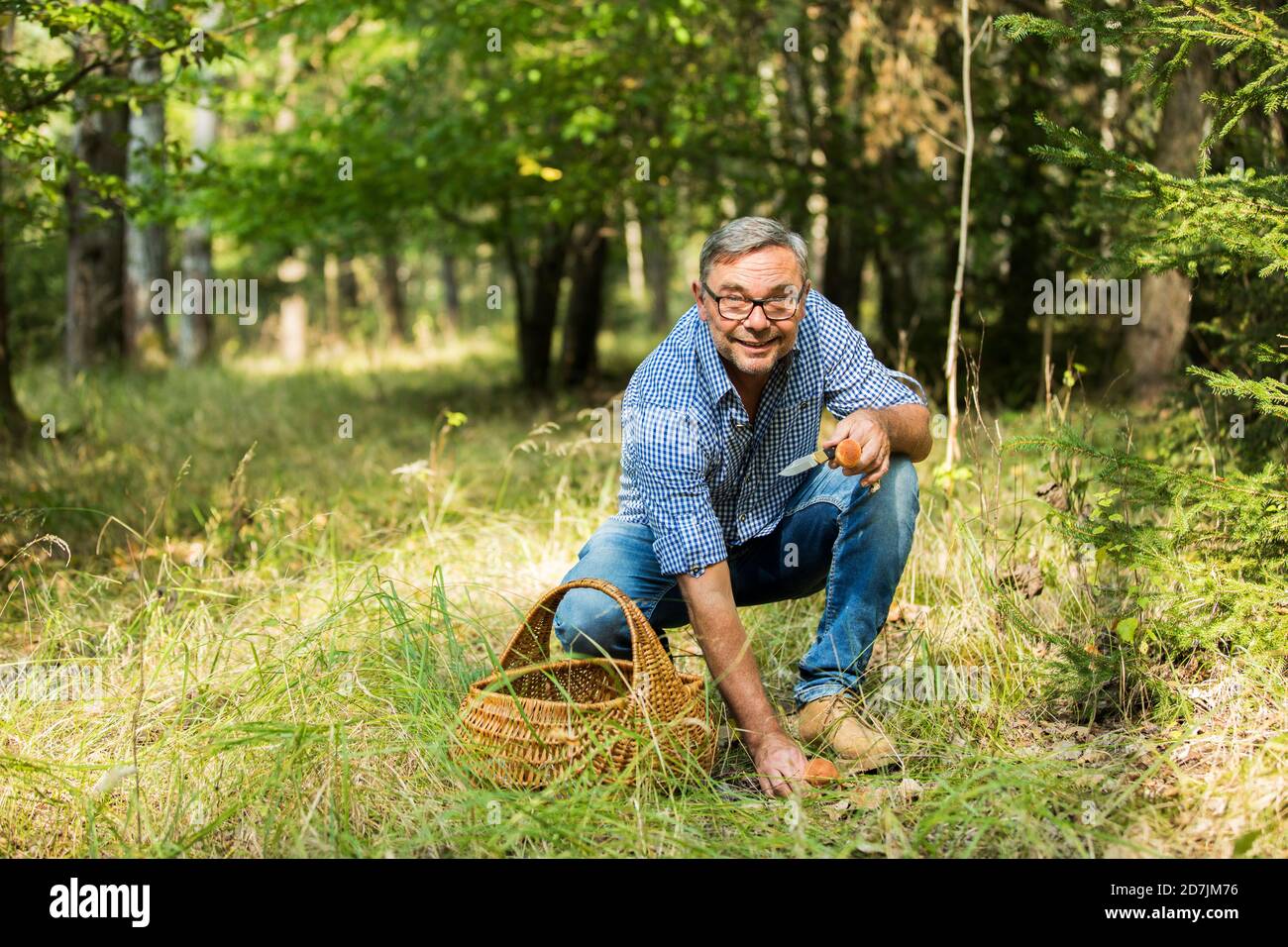 Uomo maturo che raccoglie funghi in foresta Foto Stock