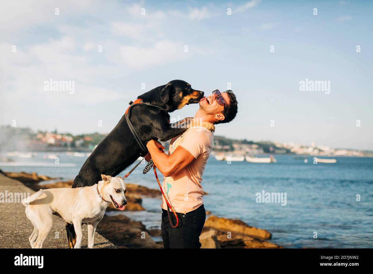 Uomo allegro che indossa occhiali da sole giocando con cani in spiaggia contro cielo Foto Stock