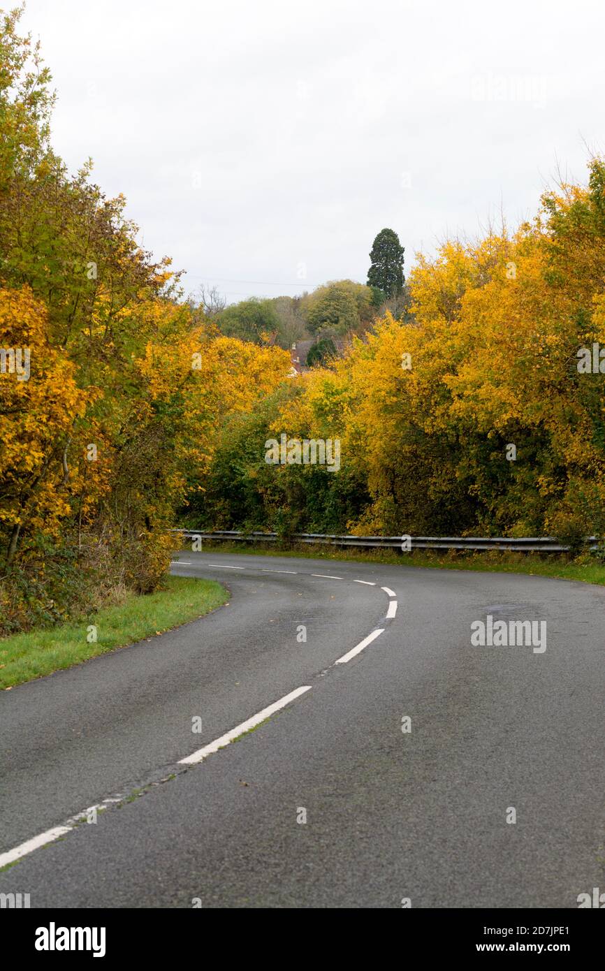 Una strada di campagna in autunno, Warwickshire, Regno Unito Foto Stock
