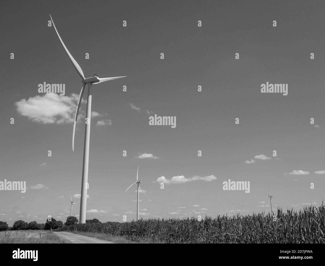 foto in bianco e nero di una turbina eolica in campagna Francia foto in bianco e nero di una turbina eolica in Francia rurale Foto Stock