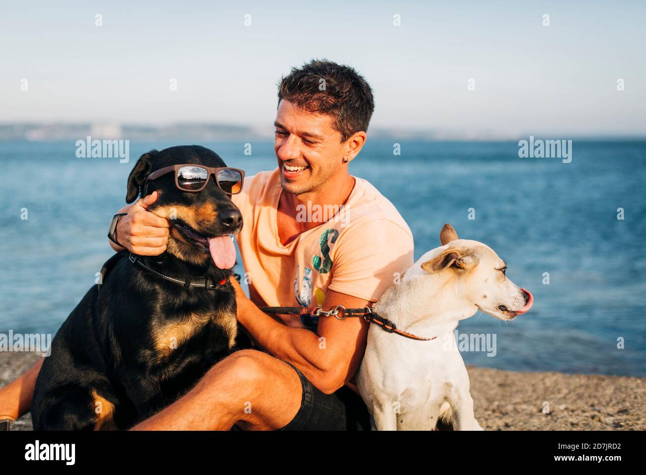 Un uomo medio adulto sorridente che gioca con i cani mentre si siede a. spiaggia contro il cielo Foto Stock