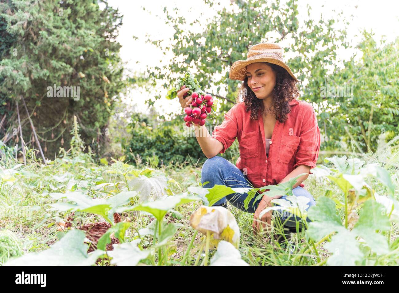 Donna sorridente che raccoglie ravanello organico in orto Foto Stock