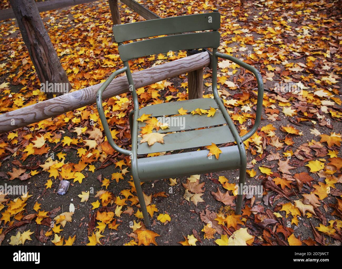 Parigi, Francia. 23 Ott 2020. Le foglie cadde sono visibili nel parco del Lussemburgo a Parigi, Francia, 23 ottobre 2020. Credit: Gao Jing/Xinhua/Alamy Live News Foto Stock