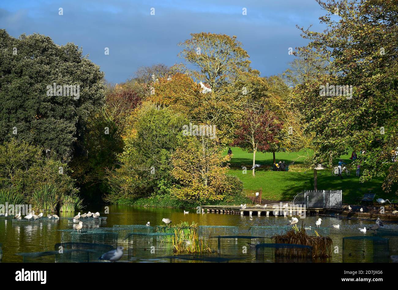 Brighton UK 23 ottobre 2020 - colori autunnali e sole al Queens Park stagno a Brighton oggi . Il tempo è previsto per essere più unstabiled durante il prossimo fine settimana: Credit Simon Dack / Alamy Live News Foto Stock
