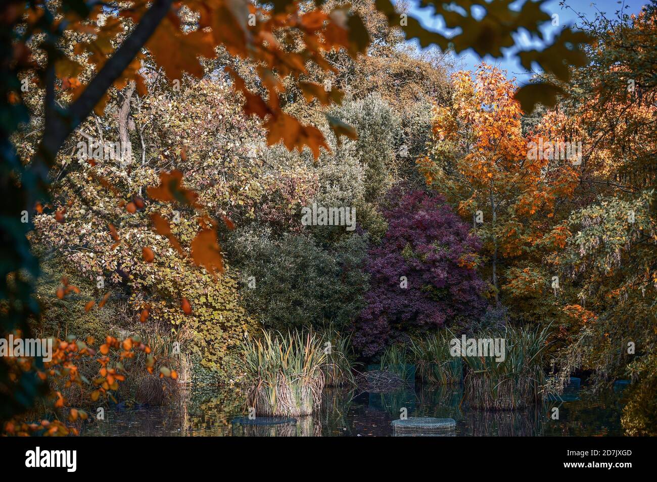 Brighton UK 23 ottobre 2020 - colori autunnali e sole al Queens Park stagno a Brighton oggi . Il tempo è previsto per essere più unstabiled durante il prossimo fine settimana: Credit Simon Dack / Alamy Live News Foto Stock