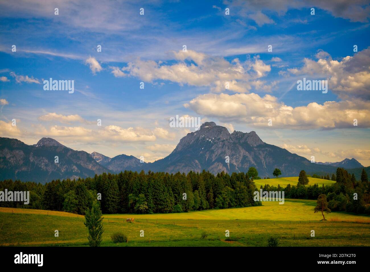 DE - BAVIERA: Tipico paesaggio alpino Allgaeu vicino Fuessen con Saeuling montagna sullo sfondo Foto Stock