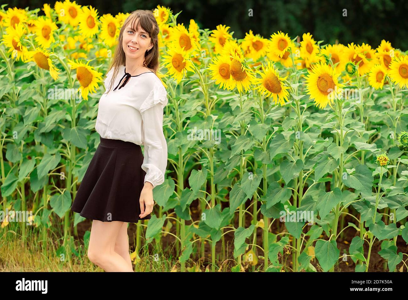 giovane donna in un campo di girasoli. ragazza rurale nel campo. girasoli nel campo. girasoli paesaggio estivo. cielo, campo, fiori. Foto Stock