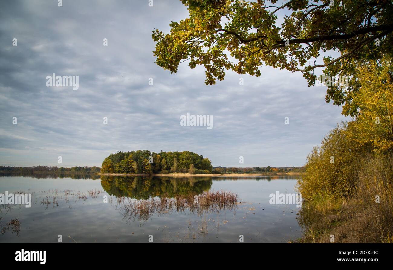 Zarsky rybnik, lago ZAR in autunno. ZAR, Repubblica Ceca, Europa Foto Stock