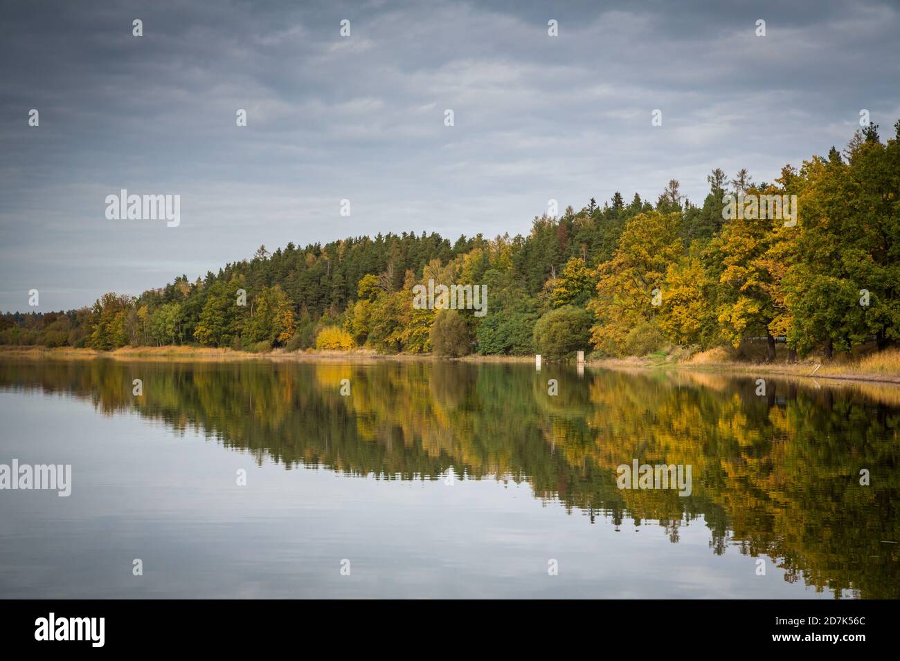 Zarsky rybnik, lago ZAR in autunno. ZAR, Repubblica Ceca, Europa Foto Stock