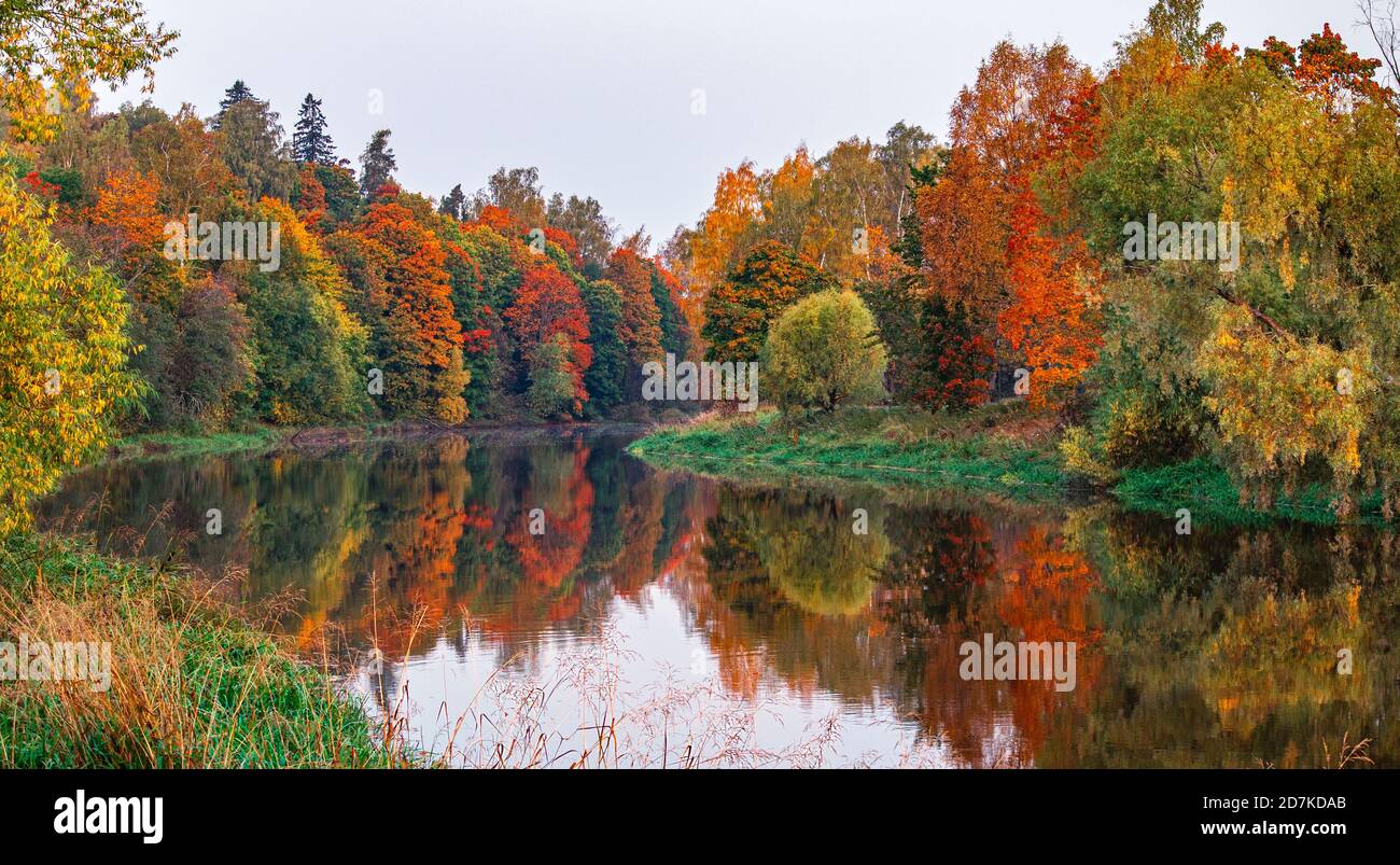 Paesaggio autunnale di alberi colorati riflessi nella superficie specchiata del fiume calmo in una giornata nuvolosa. Scenario di ottobre. Litorale con foresta di caduta Foto Stock