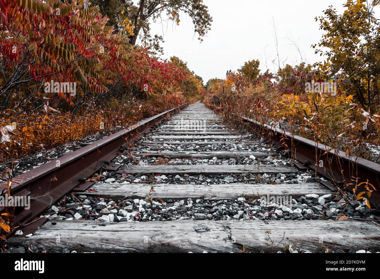 Binari del treno autunnale Foto Stock