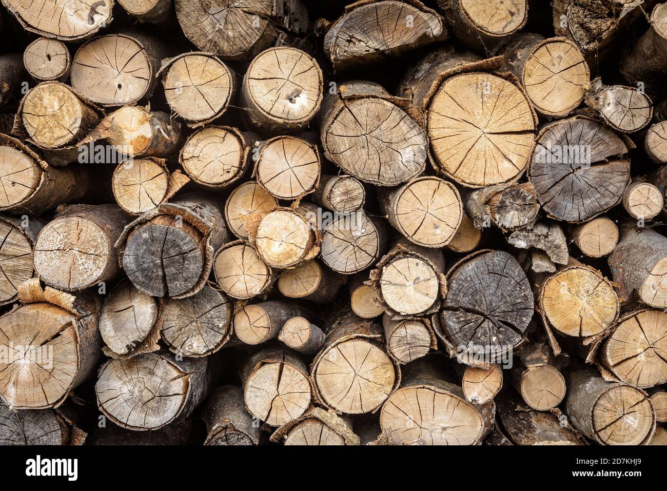 Pila di legno, estremità di tronchi per texture sfondo. Legno di legna da ardere marrone, alberi segati ruvidi con corteccia, modello con legno secco in segheria. Concetto o Foto Stock