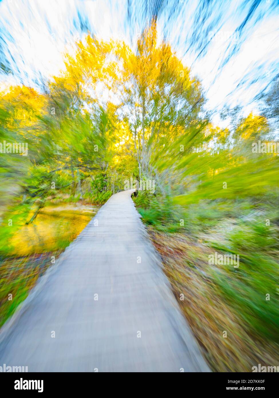Sentiero in legno percorso laghi Plitvice in Croazia Europa artistica scenario creativo volutamente sfocato che ritrae frenesia e velocità Foto Stock