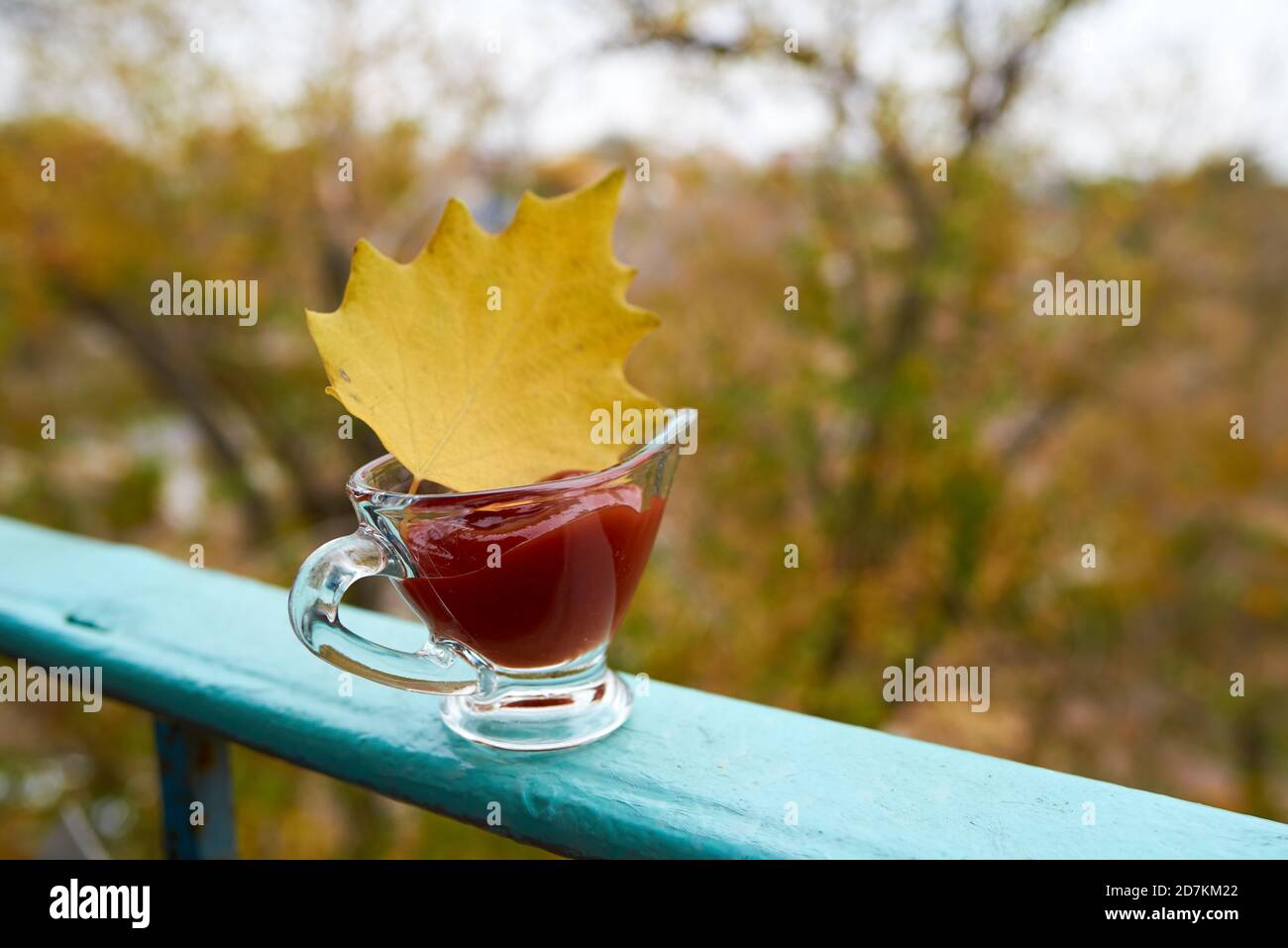 Foglia gialla d'autunno in una barca con sugo di vetro con ketchup rosso si erge su una ringhiera blu di fronte a un parco autunnale. Concetto di pasto d'autunno. Spazio di copia Foto Stock