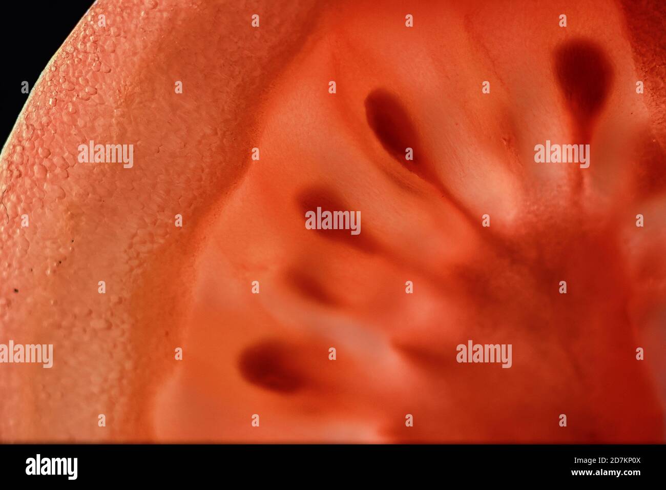 Rosso pomodoro tagliato a metà con la texture di semi Foto Stock