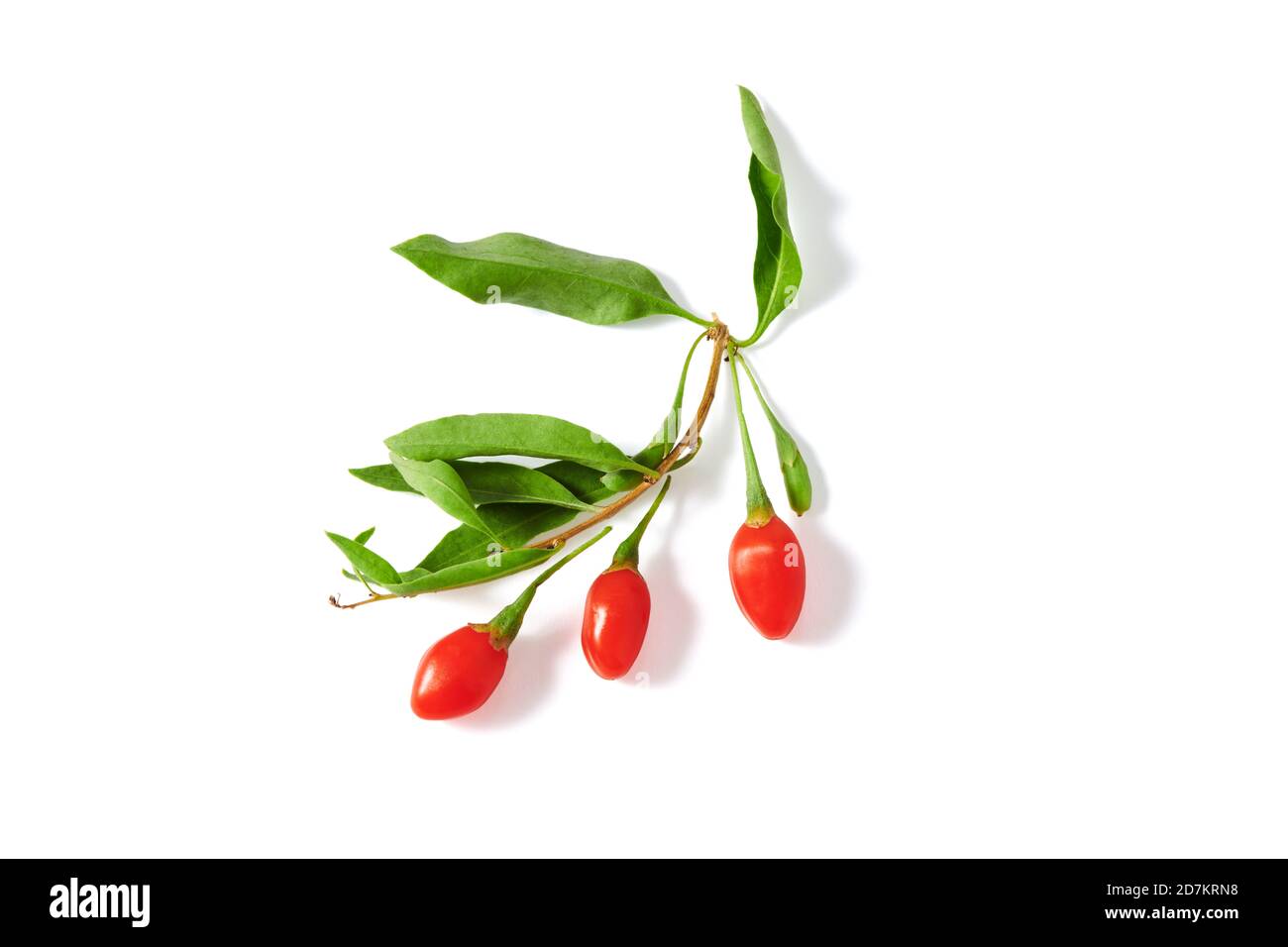 Bacche di Goji Foto Stock