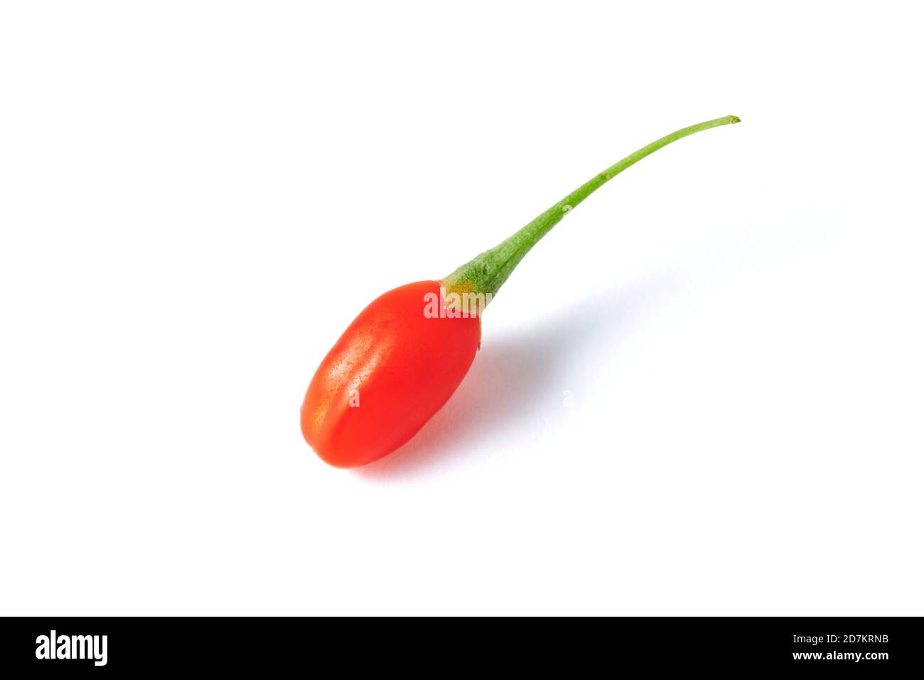 Bacche di Goji Foto Stock