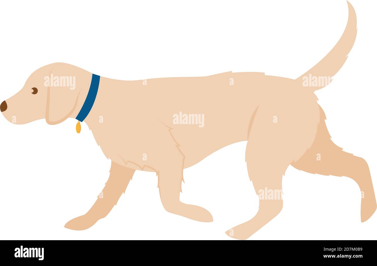 Cane isolato con targhetta costruttore. Razza cane Labrador - vettore Illustrazione Vettoriale